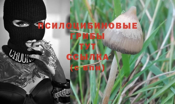 винт Белокуриха