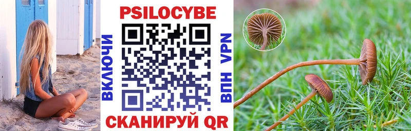 Псилоцибиновые грибы мицелий Кущёвская
